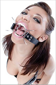 Mouth Gag Blow Job Sex Toy Enhanced Oral Experience