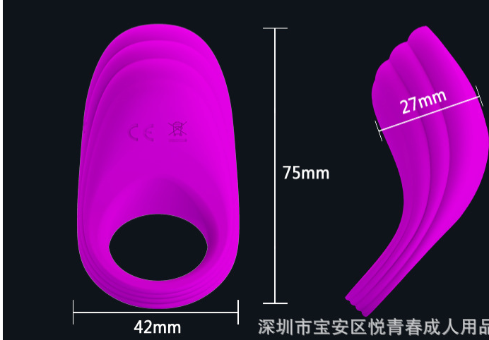 Vibrating 10 Modes Cock Ring USB Rechargeable Penis Ring Vibrator