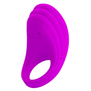 Vibrating 10 Modes Cock Ring USB Rechargeable Penis Ring Vibrator